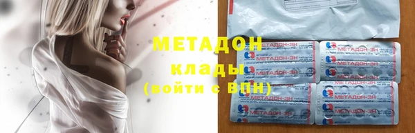 прущие грибы Армянск