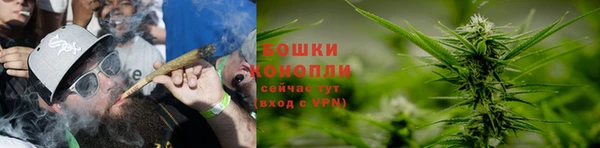 прущие грибы Армянск
