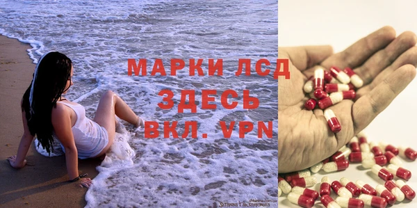 прущие грибы Армянск