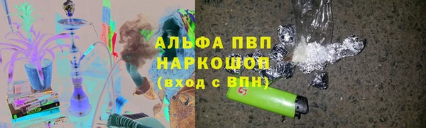 прущие грибы Армянск